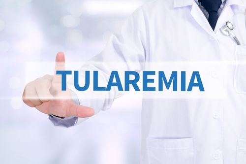 Tularemia – przyczyny, objawy, leczenie i profilaktyka